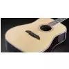 Framus FD 28 JN SR VNT  - Jorg Nassler Signature - Vintage Transparent Satin Natural Tinted