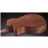 Framus FF 14 SV Vintage Transparent Satin Natural Tinted + EQ