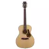Framus FG 14 SV - Vintage Transparent Satin Natural Tinted