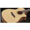 Framus FG 14 SV - Vintage Transparent High Polish Natural Tinted + EQ