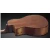 Framus FG 14 SV - Vintage Transparent High Polish Natural Tinted + EQ