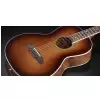 Framus FP 14 M - Vintage Sunburst Transparent High Polish
