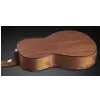 Framus FP 14 SV - Vintage Transparent Satin Natural Tinted + EQ