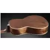 Framus FP 14 M - Vintage Sunburst Transparent High Polish