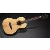 Framus FP 14 SV - Vintage Transparent High Polish Natural Tinted