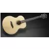 Framus FJ 14 SMV - Vintage Transparent High Polish Natural Tinted