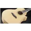 Framus FC 44 SMV - Vintage Transparent Satin Natural Tinted