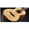 Framus FP 14 SV - Vintage Transparent High Polish Natural Tinted