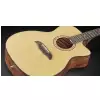 Framus FF 14 SV Vintage Transparent Satin Natural Tinted + EQ