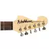 Washburn N1 NM