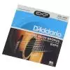 D′Addario EXP 11