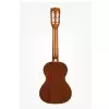 Kala Mahogany Ply 6 String Tenor Ukulele