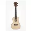 KALA Solid Spruce Travel Concert Ukulele