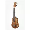 KALA Gloss Mahogany Soprano Long Neck Ukulele, with Bag (UB-C)