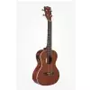 Kala Mahogany Ply Tenor Ukulele with EQ