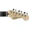 Fender Standard Stratocaster RW Brown Sunburst