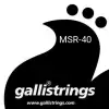 Galli Msr-40