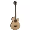 Luna Acoustic Tribal Bass A/E SN