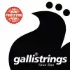 Galli Ra20