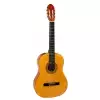 Soundsation Cg50 Nt Toledo