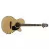 Takamine EG220SC
