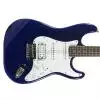 Cort STAT3 BM