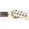 Cort STAT2 BK