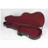 Kisielewski case stratocaster
