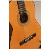 Hohner LC10N