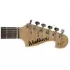 Washburn X9-CM