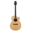 Prs Se Angelus Standard E