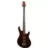 Prs Se Kingfisher Tortoise Shell