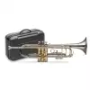 Stagg 77THGNI