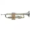 Stagg 77THGNI