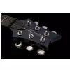 Prs Se Standard 24 Tb