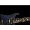 Prs Se Standard 24 Tb