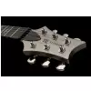 Prs Se Standard 22 Pl