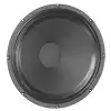 Eminence Legend 151 A