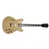 Ibanez AS103NT