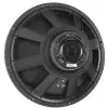 Eminence Delta Pro 18 C