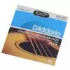 D′Addario EXP 16