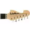 Washburn N2 PS