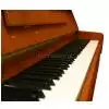 AN T.Piano Up 113