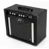 Peavey Rage 258 Pro 25W/8′′