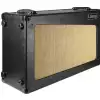 Laney Cub 212r