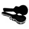 Kisielewski case Les Paul (ABS)