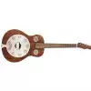 Fender Brown Derby Resonator, Brown Stain