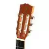 EverPlay Luthier-2