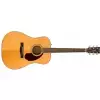 Fender Pm-1e Standard Dreadnought, Ovangkol Fingerboard, Natural