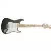 Fender Eric Clapton Stratocaster MN Pewter